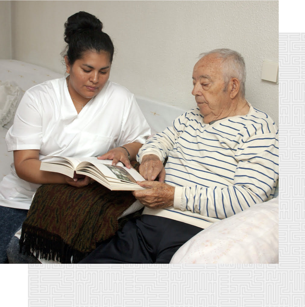 What are common causes of nursing home abuse and neglect?